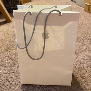 Apple Store Gift Bag